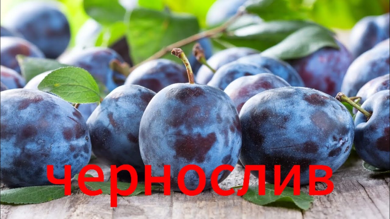 БЫСТРАЯ СУШКА СЛИВЫ / ПЮРЕ СУШЕНОЕ 100% ВОССТАНОВЛЕНИЕ .
