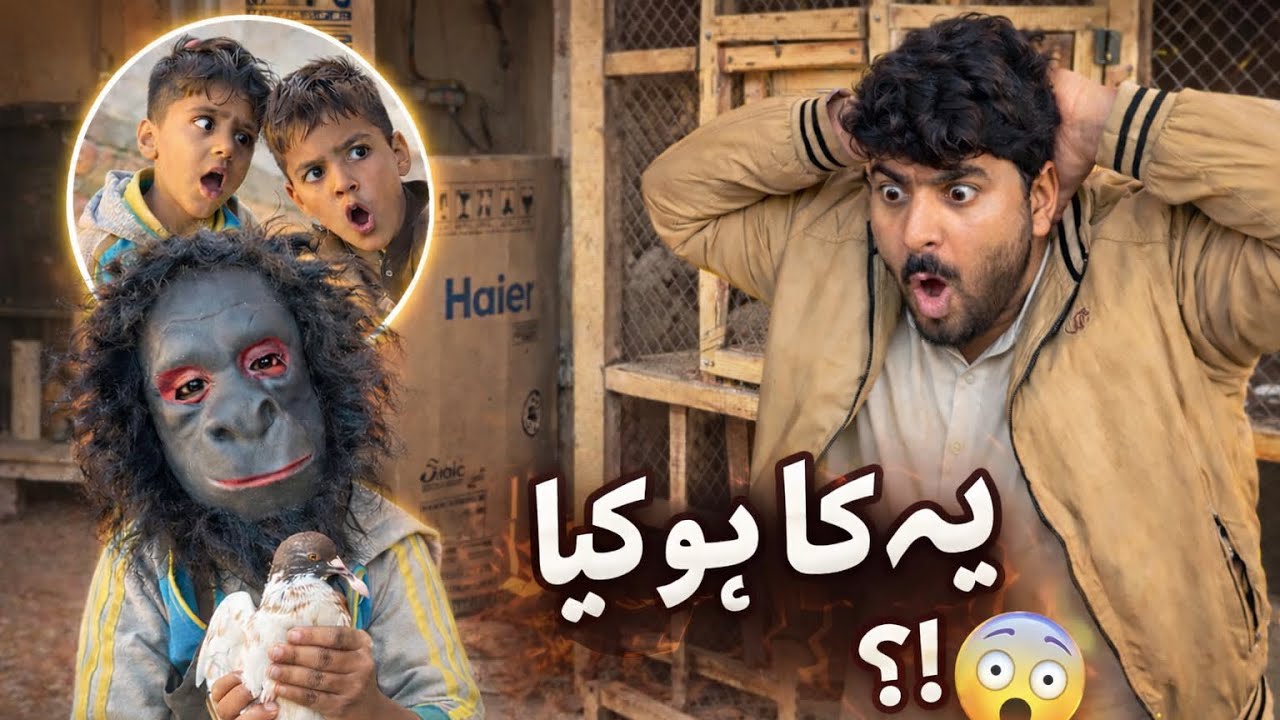 Bade bhai ny acha nhi Kia 🤪🦁choty ky sath 😫😫ejaz ka gaon 