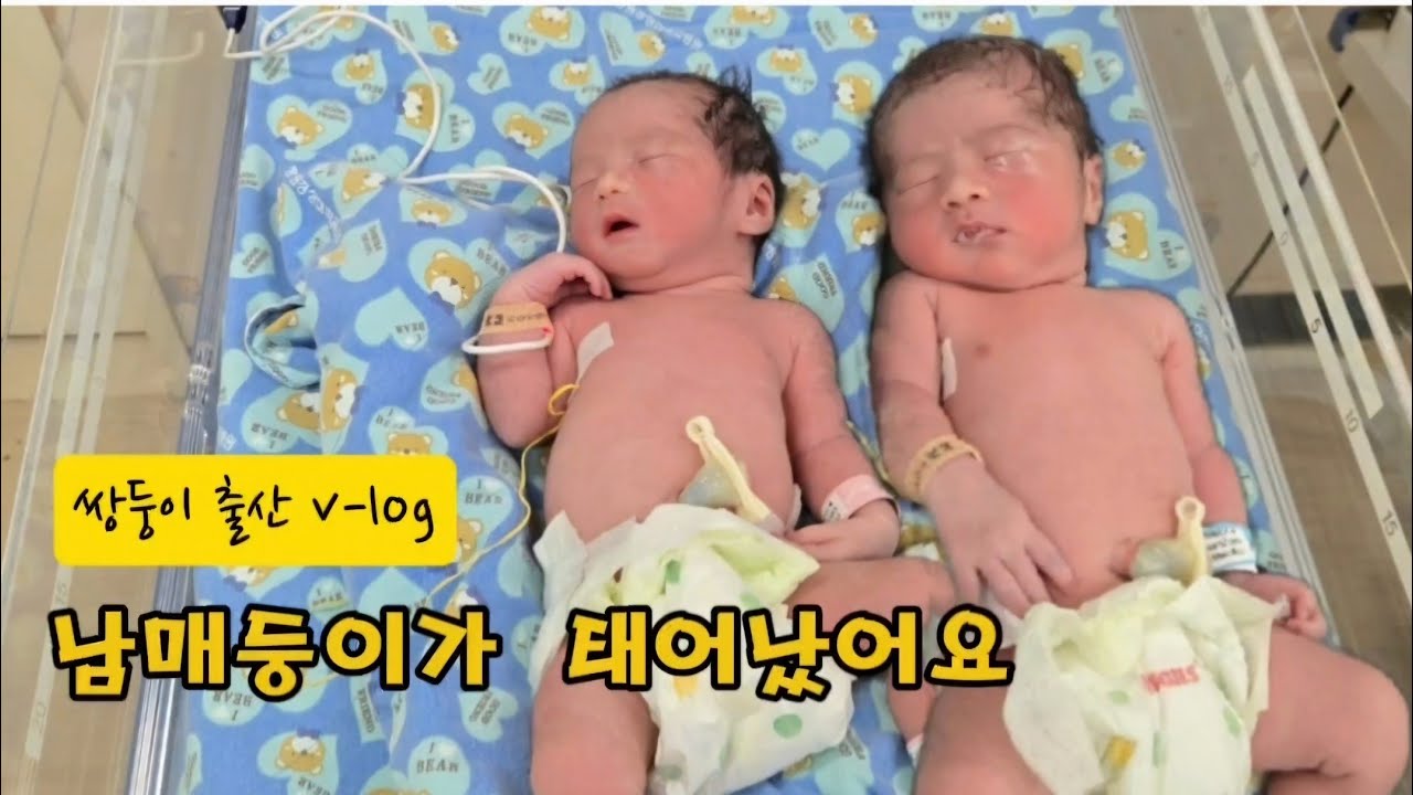 남매둥이 출산브이로그/쌍둥이배크기/대학병원제왕절개