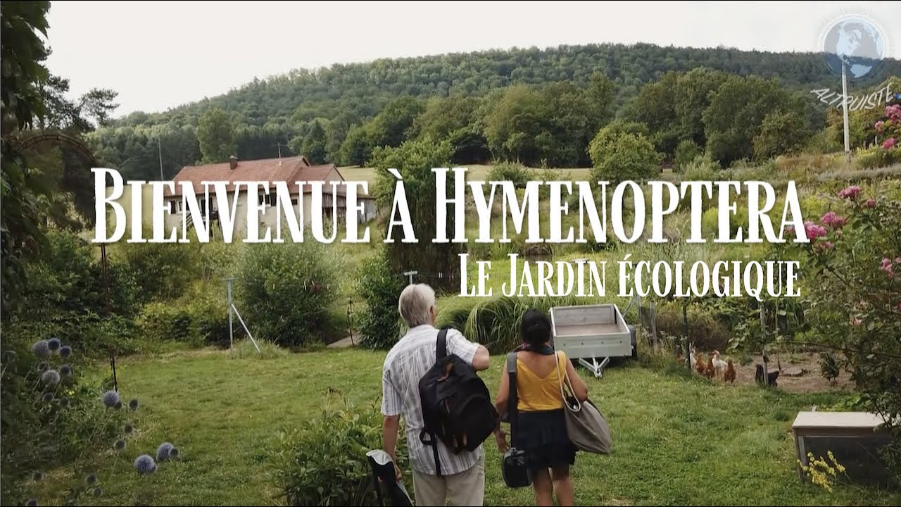 Hymenoptera, le jardin écologique créé par l'homme né insecte