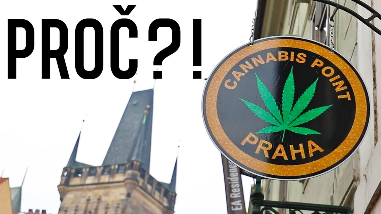 Proč je v Praze tolik obchodů s tr&aacute;vou a co to prod&aacute;vaj&iacute;?