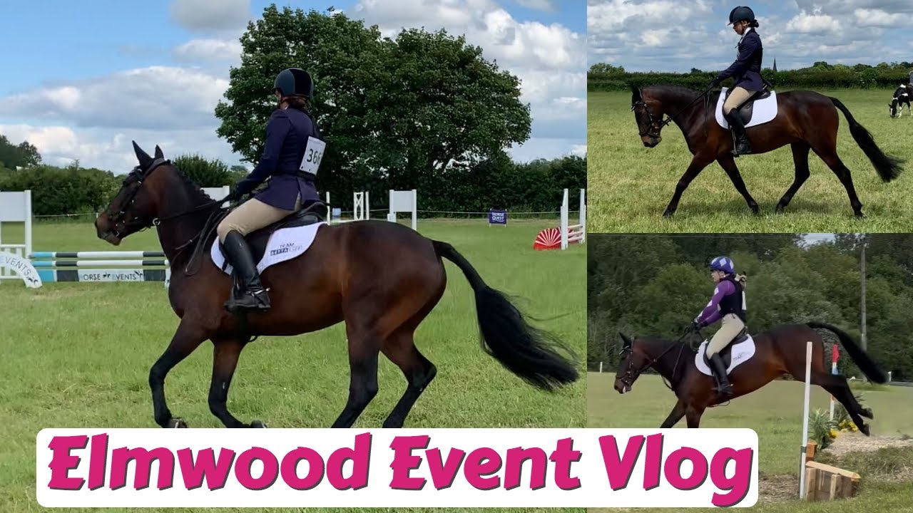 TIME TO STEP UP A LEVEL? Hugo goes eventing again // Elmwood 70cm Horse Events ODE