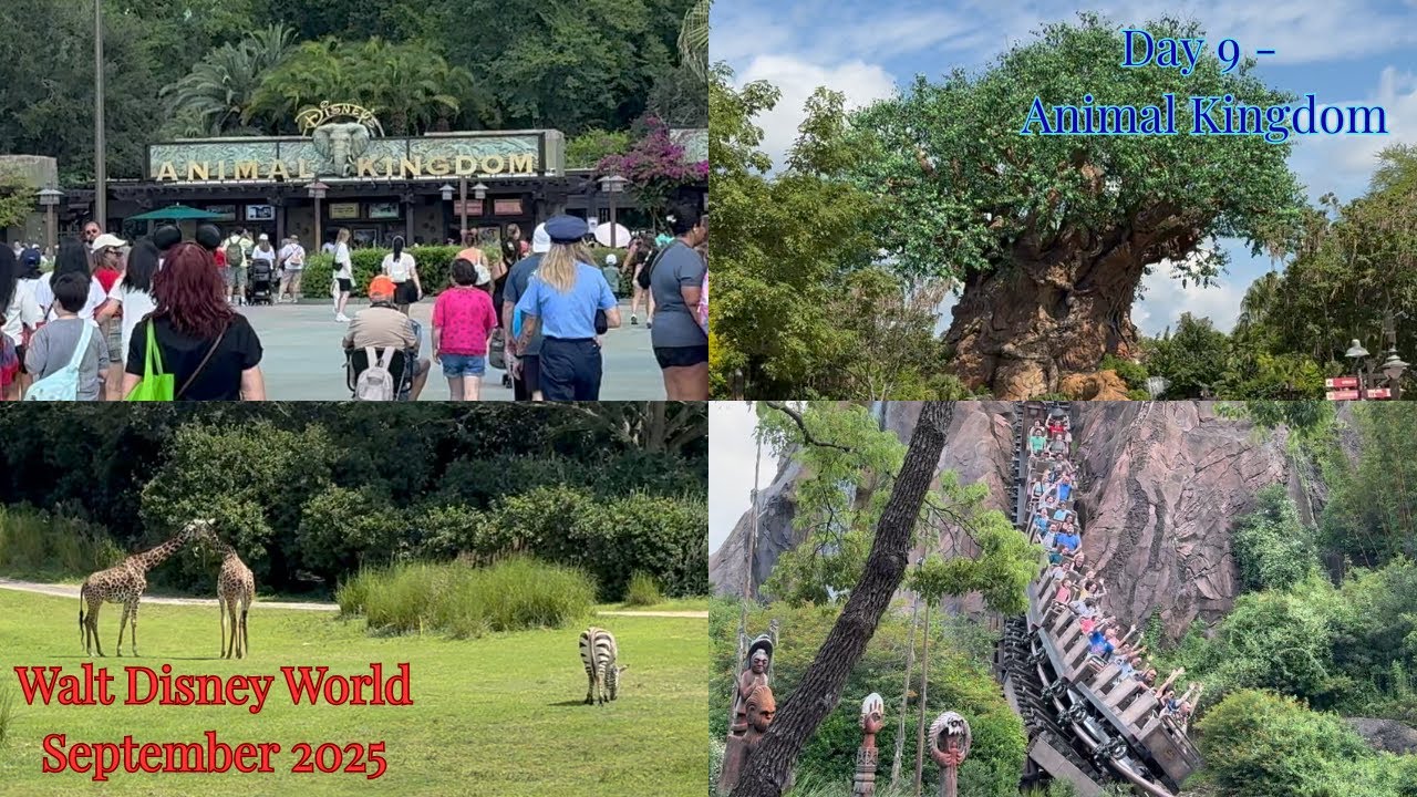 Walt Disney World September 2025 - Day 9 - Animal Kingdom