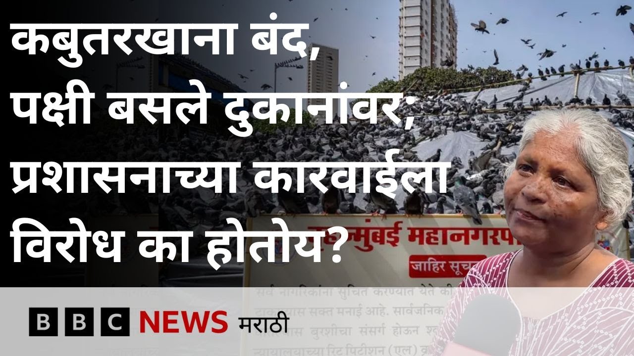 Mumbai Kabutar Khana : मुंबईतील कबुतरखाने बंद येत आहे, कबुतरांचा मानवी आरोग्यावर काय परिणाम होतो?