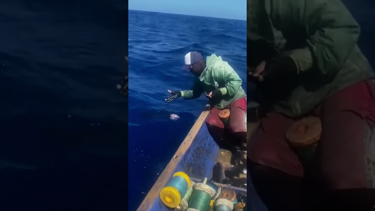 Fishing without hooks, use your hands! #Fishermen are so crazy #fishing #freshwaterfishingnovice