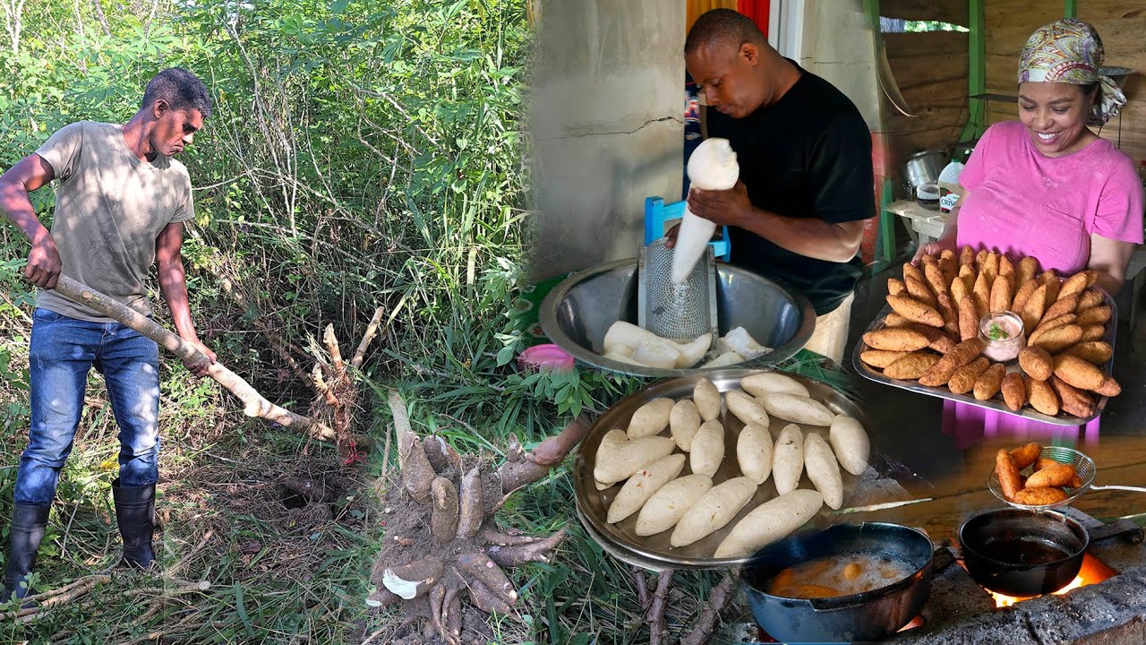 Vamos al conuco a buscar las Yuca para hacer chulitos, La Vida Del Campo