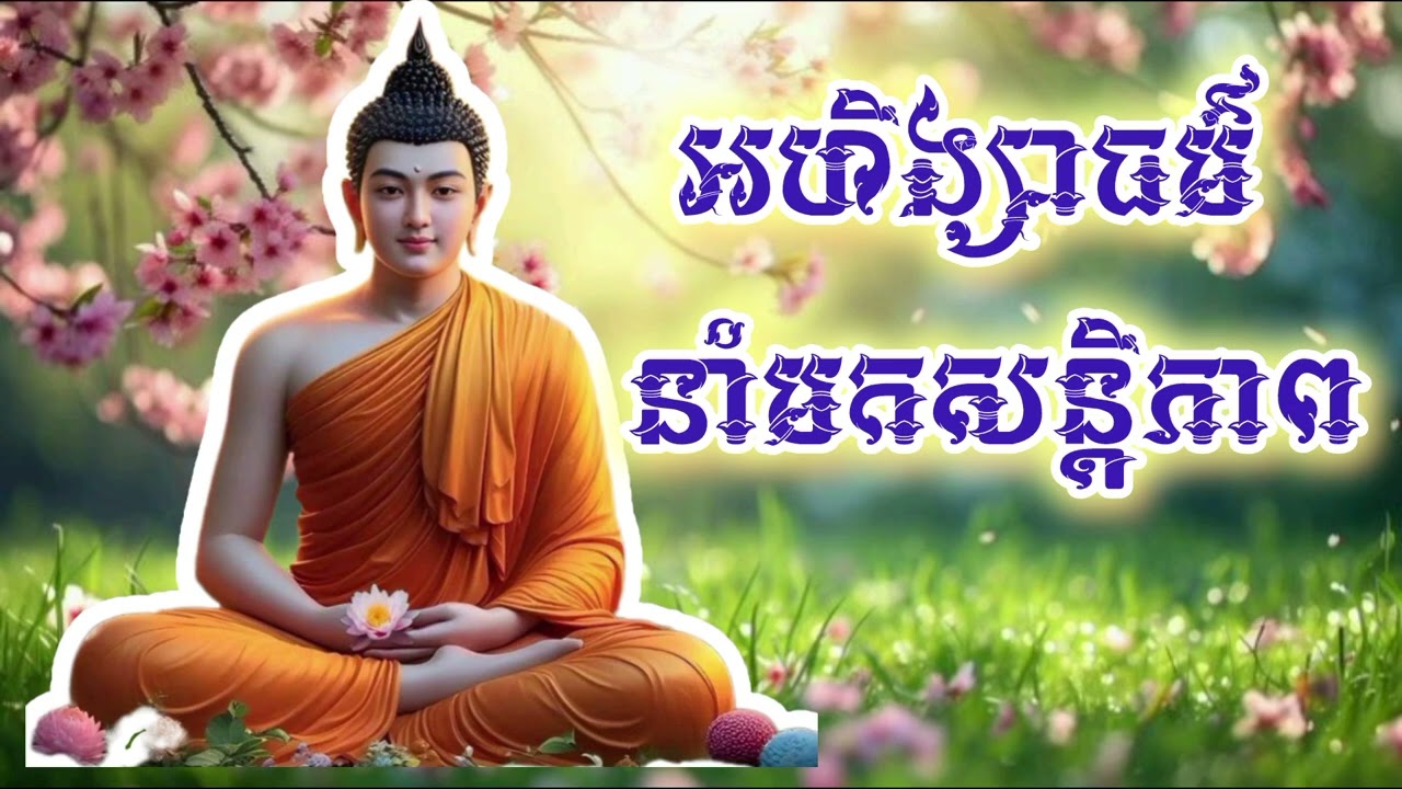 អហិង្សាធម៌ នាំមកនូវសនិ្តភាព / ដោយភិ.បភទ្ទោ @chhayaneak1769 
