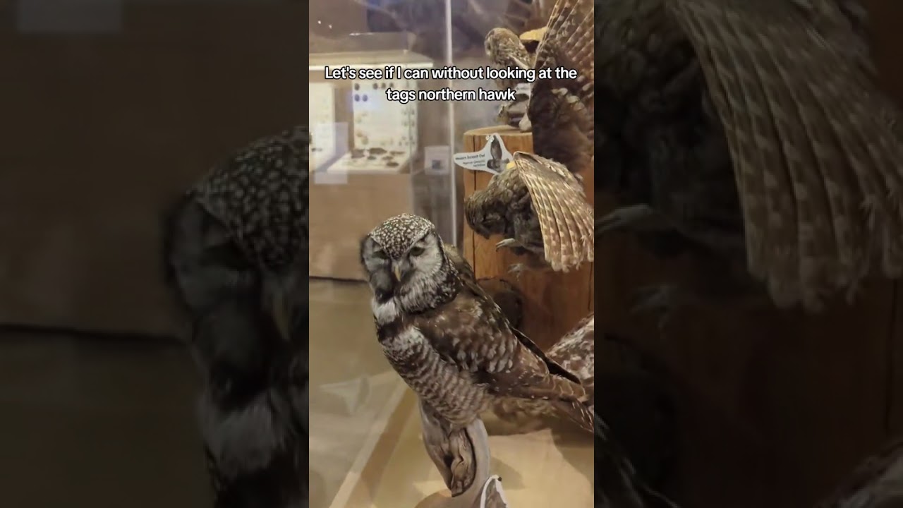 Penticton Museum Part 1