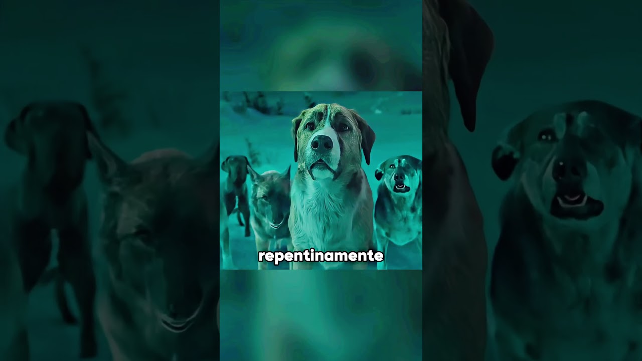 &iquest;Puede un perro derrotar a un lobo?