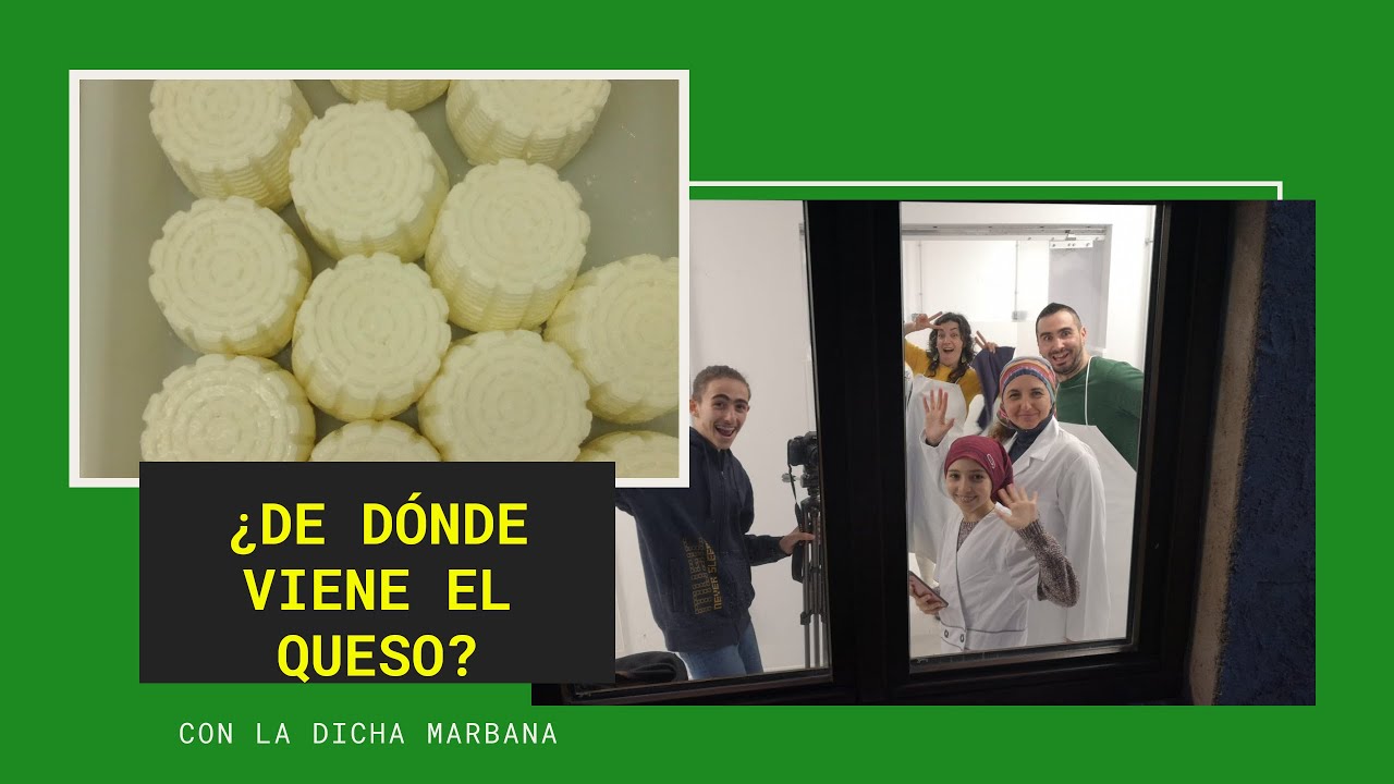 ¿De dónde viene el queso?