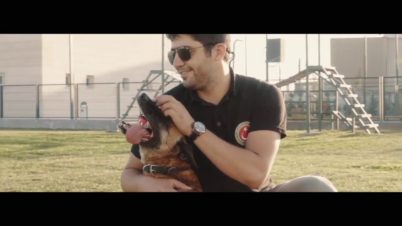Köpek Eğitim Merkezi
