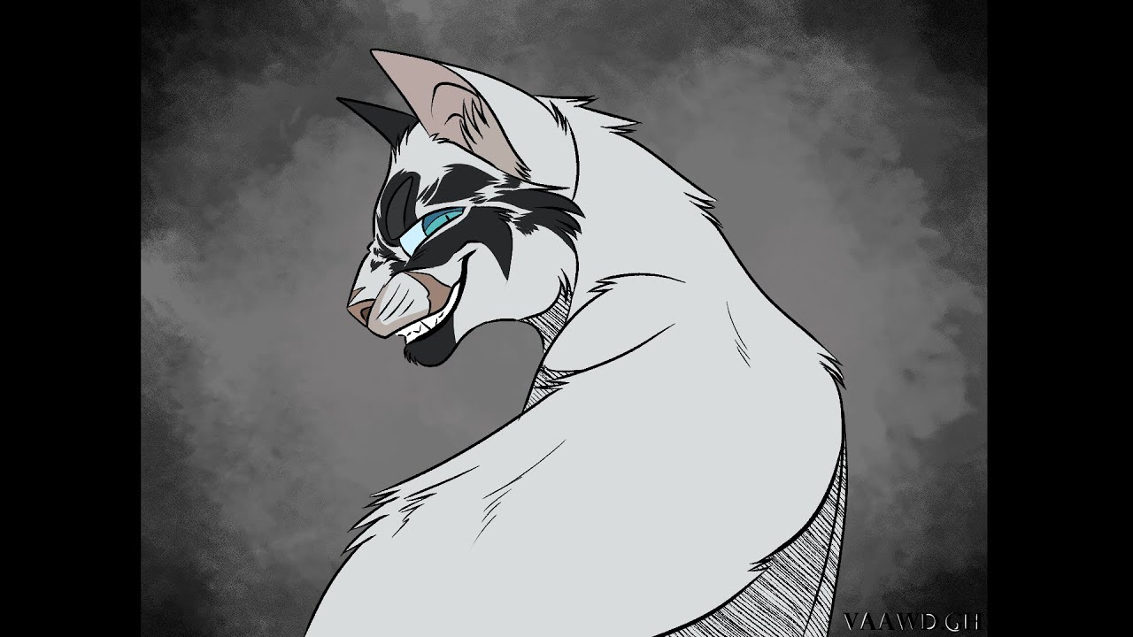 Tu veux &ecirc;tre mon ami ? // Darktail PMV (Warrior Cats)