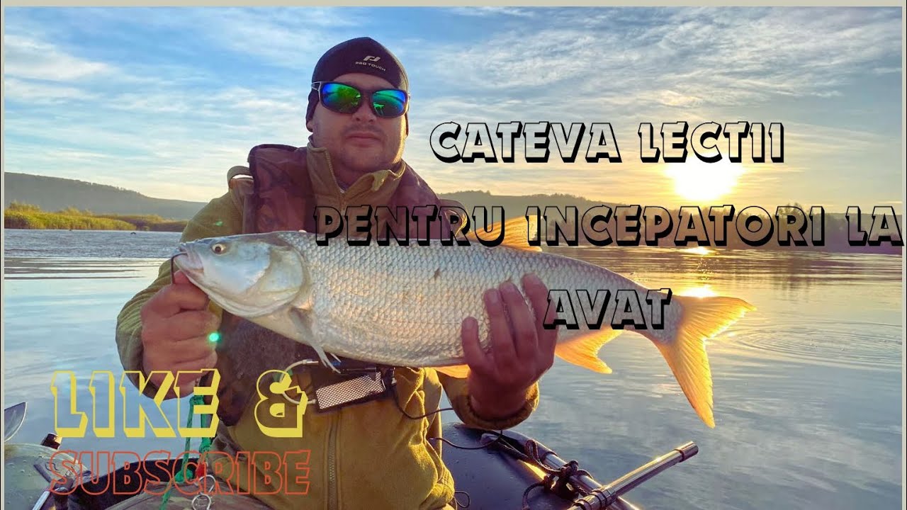 Pescuit la Avat cateva lectii pentru începatori si primul Avat🎣Asp fishing