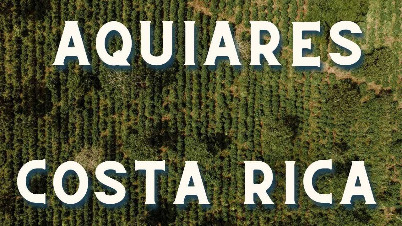 Tour Costa Rica's Aquiares Coffee Farm: Learn About the Beans, the People, and the Biodiversity