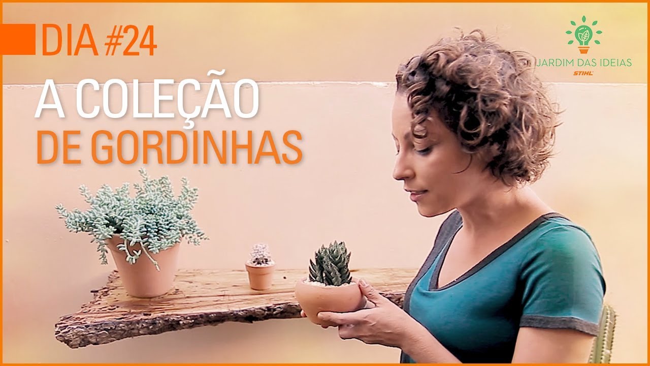 Aprenda a fazer uma linda coleção de SUCULENTAS