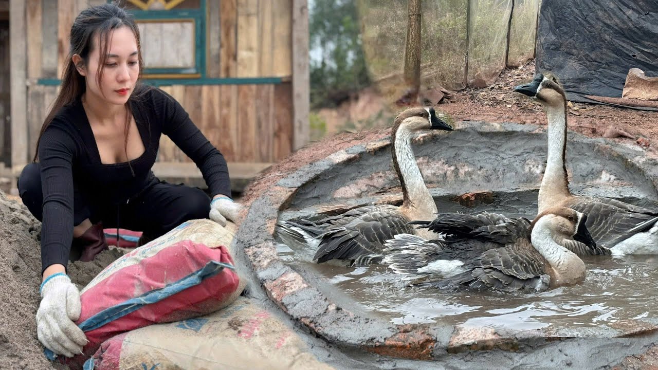 Living Alone in The Countryside. Repairing The Pond For the Ducks in the Garden.