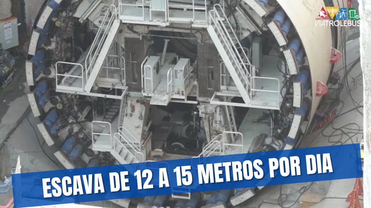 DETALHES DA “MARIA LEOPOLDINA”, UM DOS TATUZÕES DA LINHA 6 DO METRÔ