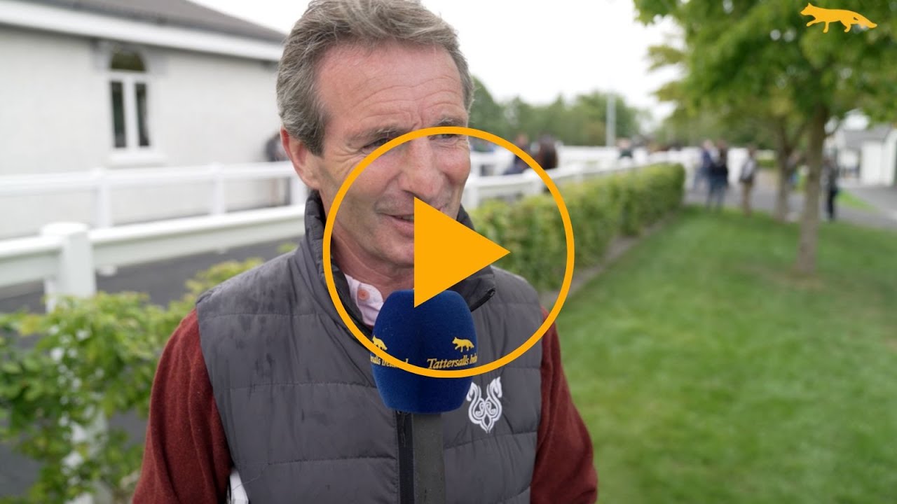 Norman Williamson - Tattersalls Ireland Breeze Up Sale