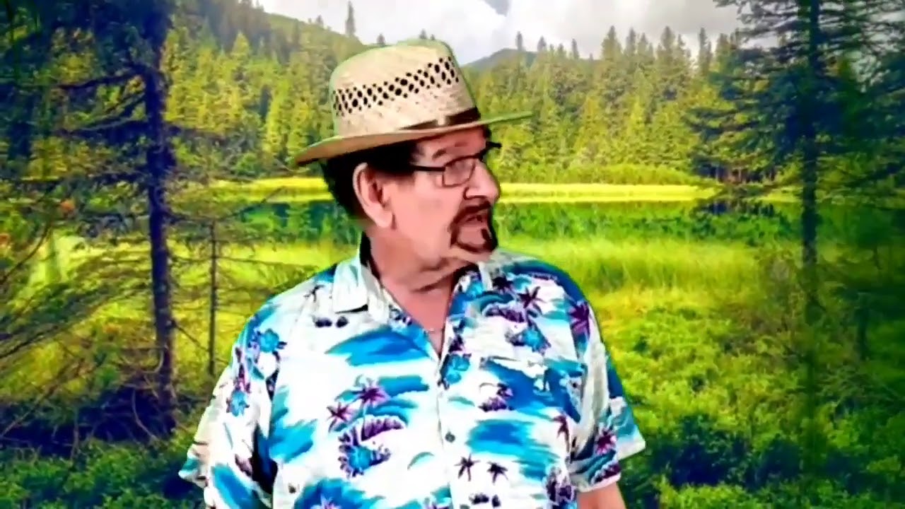 Sommarmusik Magnus Nordensved