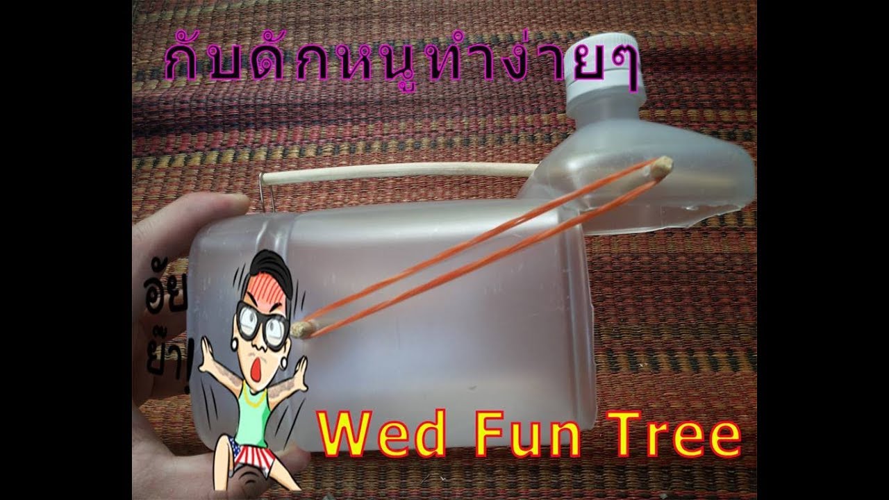 ทำที่ดักหนูจากขวดพลาสติก Wed Fun Tree