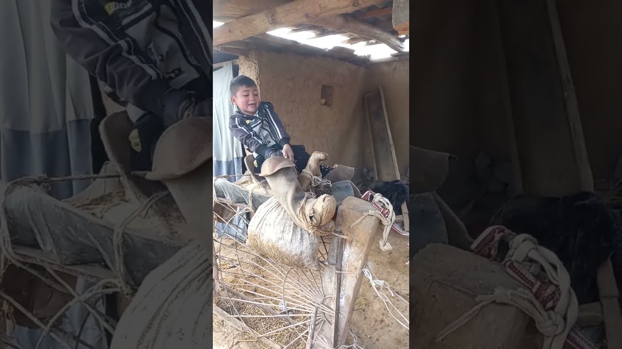 RUZIMUROD VA TARZAN ££₩☆☆$$$%