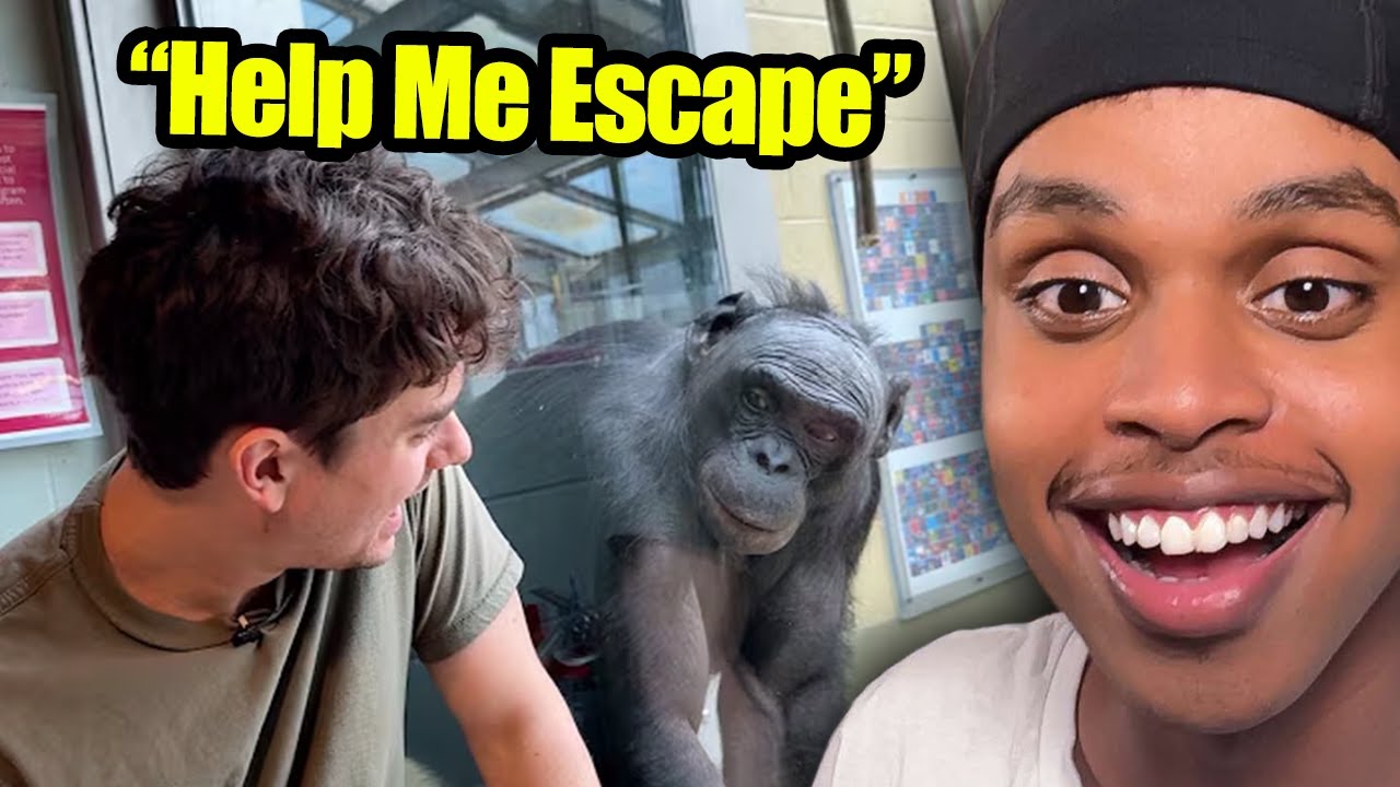 Apes Freak OUT When He Speaks Their Language