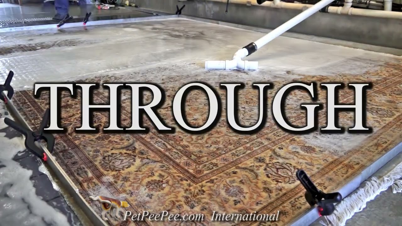Wool Oriental rug Cleaning Using the Dead Sea