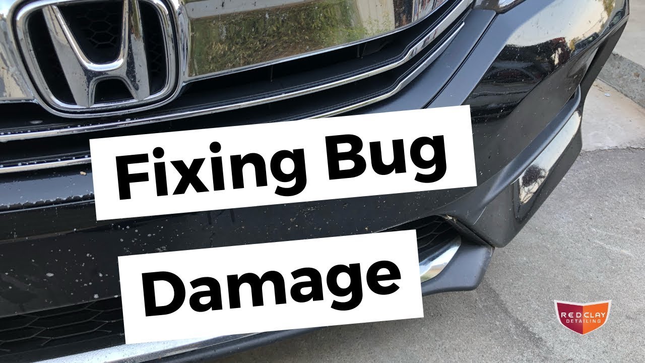 Fix Bug Damage to Paint