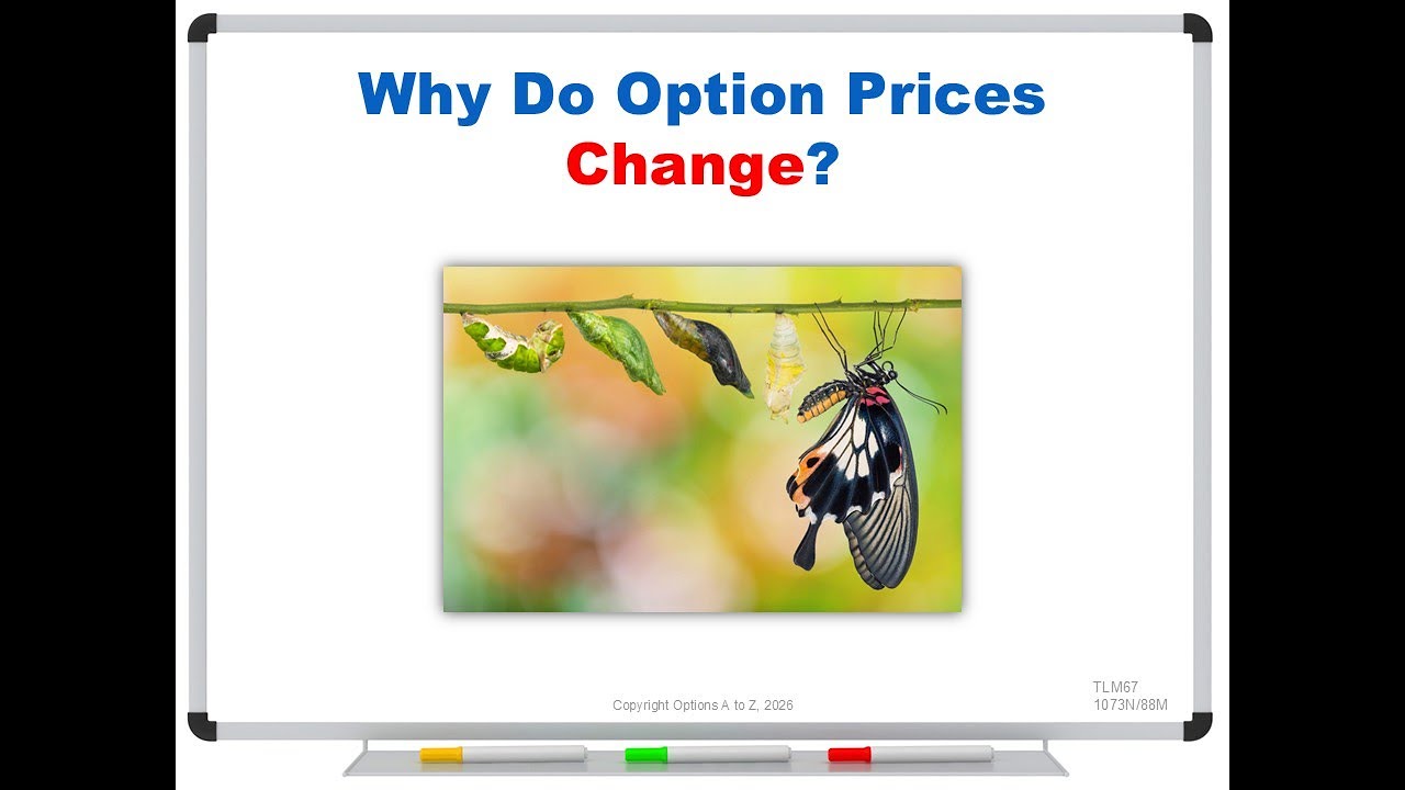 Why Do Option Prices Change?