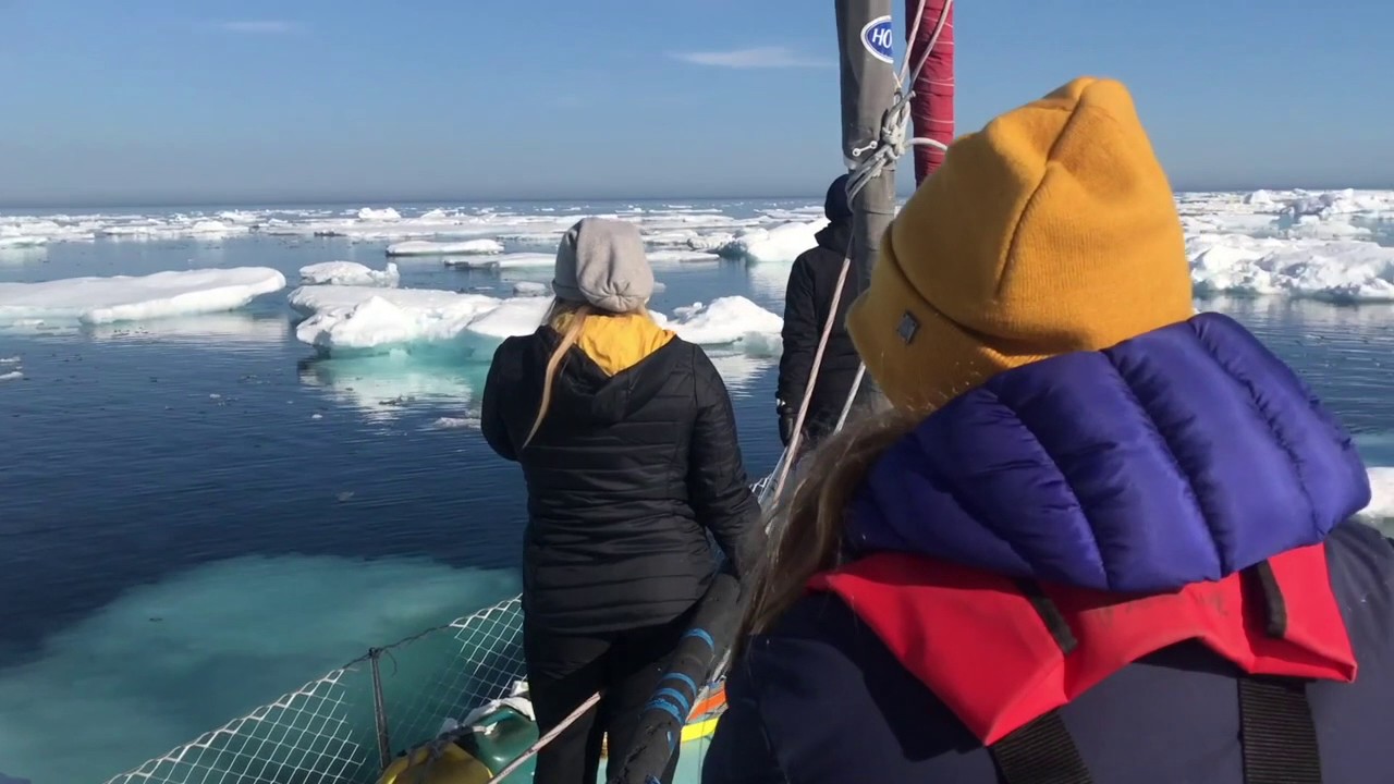 TOPtoTOP - Trapped in the Arctic Pack Ice