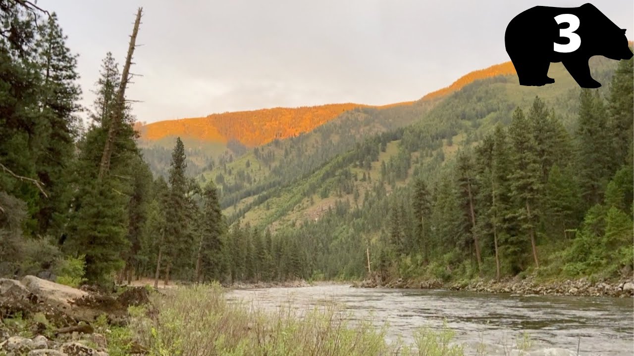 Spring Bear Hunting in the Frank Church - River of No Return Wilderness | Part Three