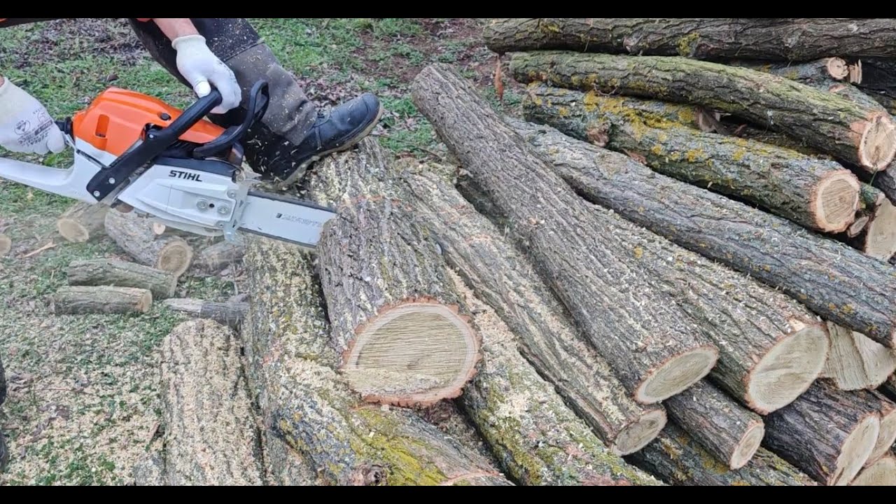 Egy kis tűzifa fűrészelés Stihl MS261 CM láncfűrész/chainsaw