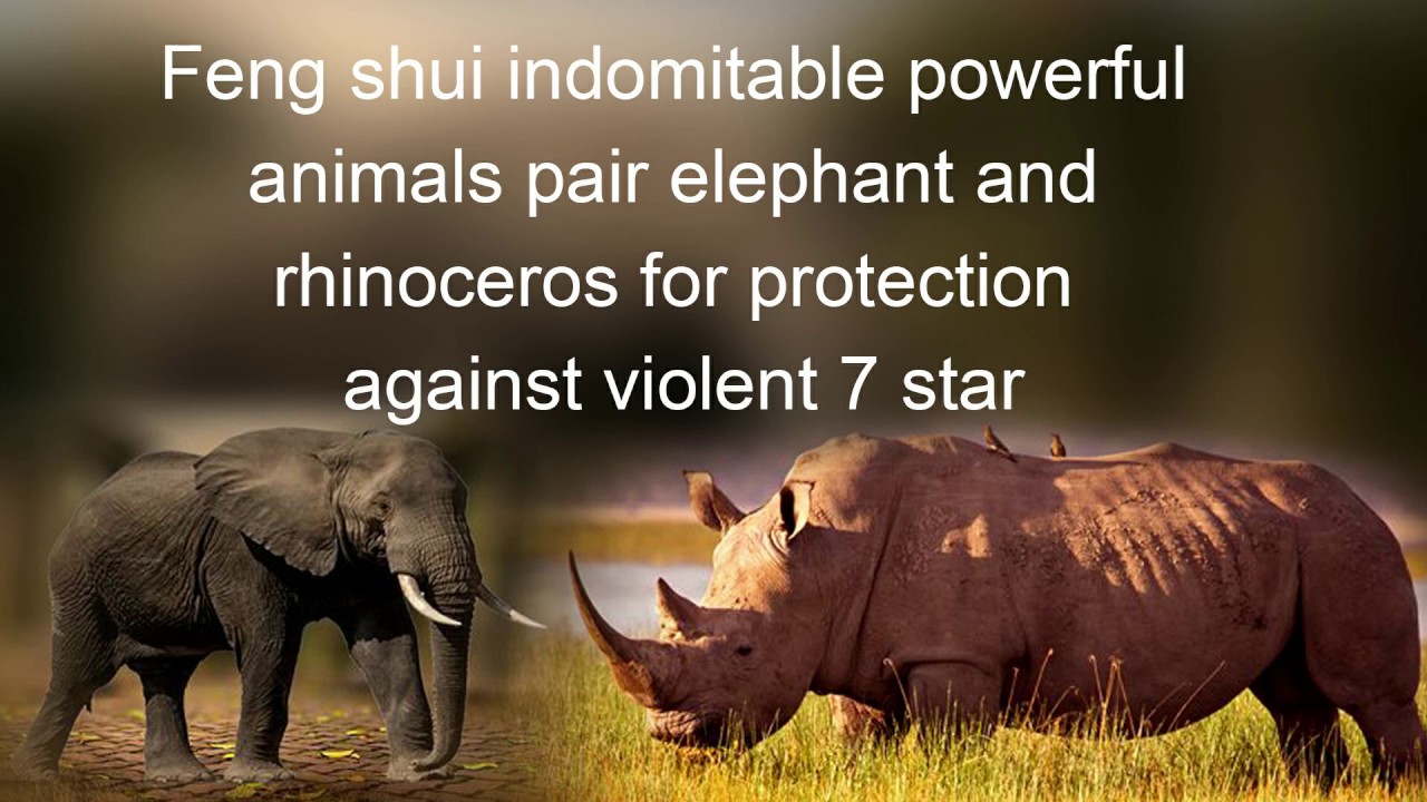 Feng Shui Indomitable Powerful Animals Pair Elephant and Rhinoceros Remedy for Protection & Evil Eye