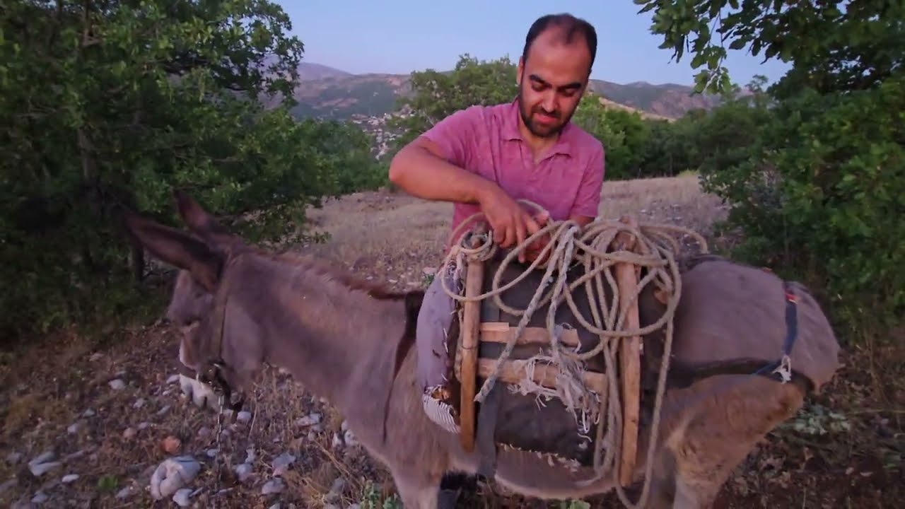 Köyde Boş Durmak Yok: Eşekle Bahçeye Yolculuk