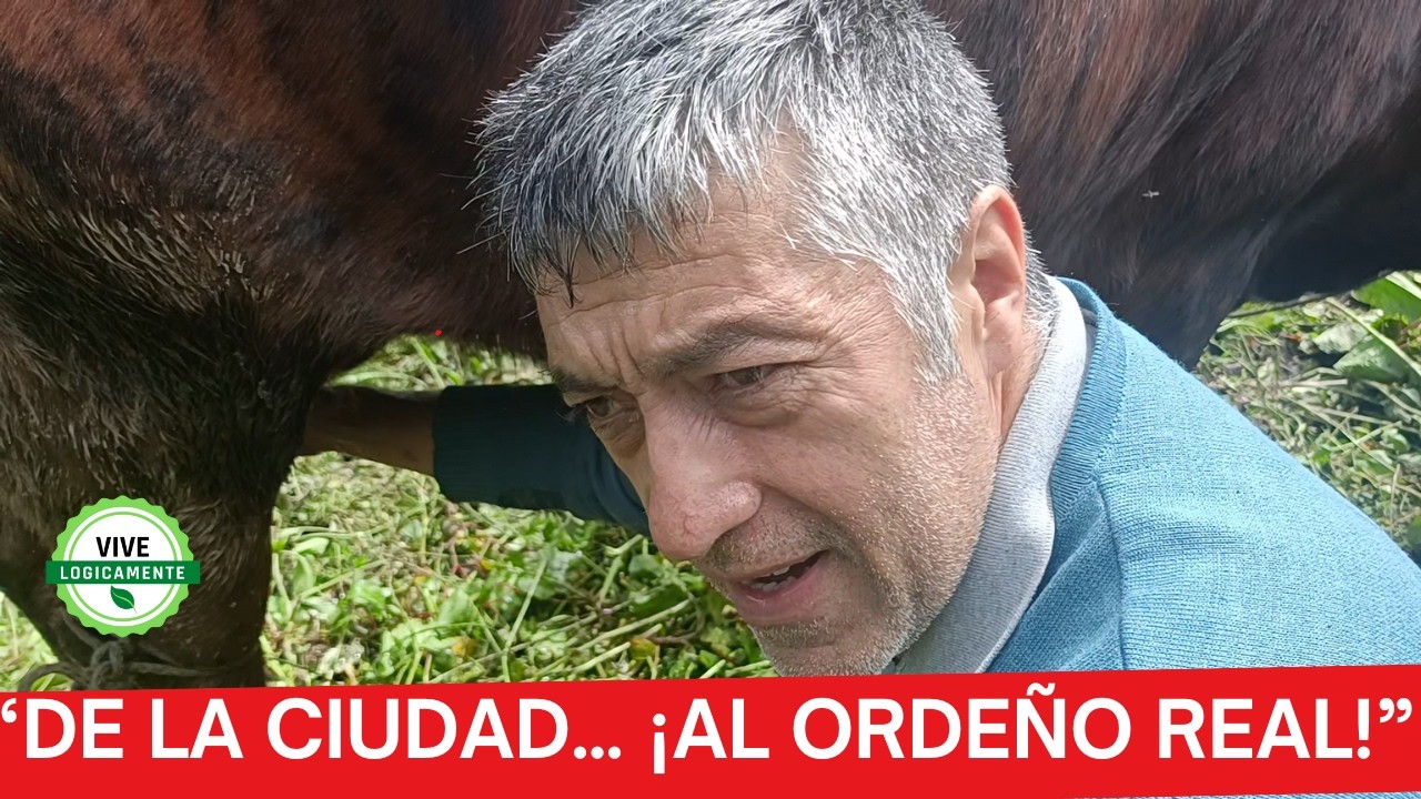 De la  Ciudad al Campo: Cuidados y Ordeño de la Vaca