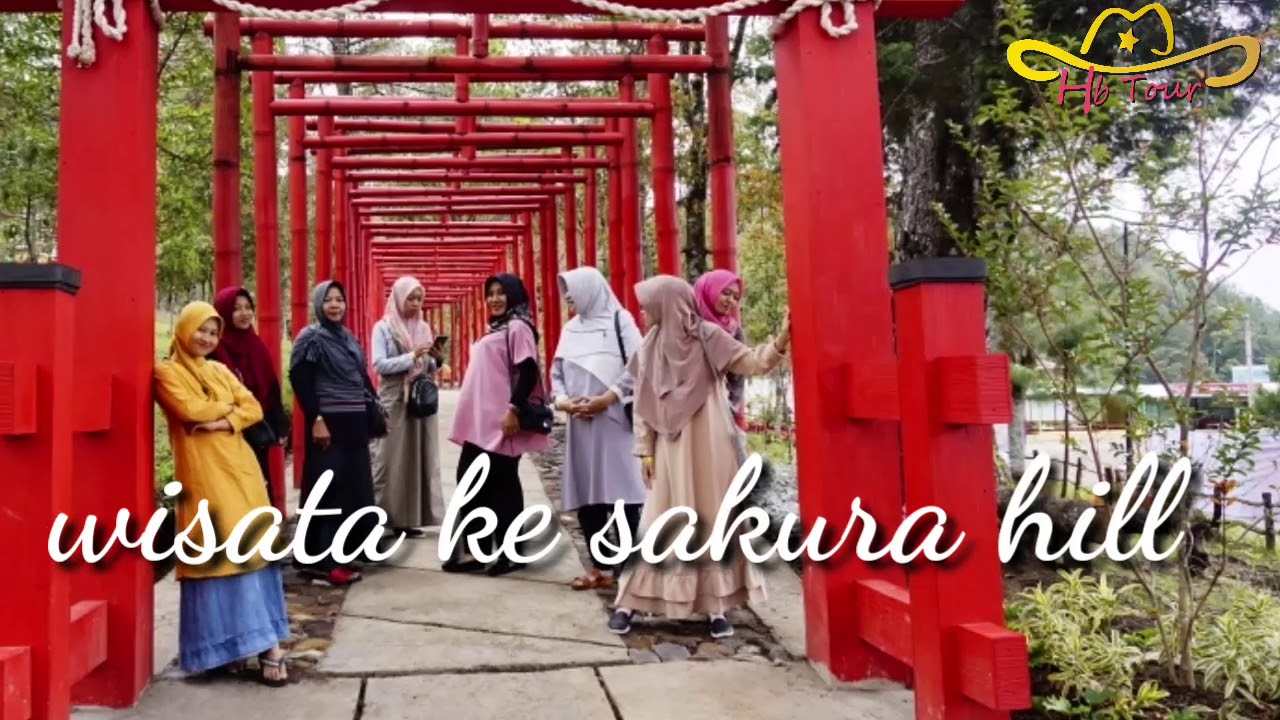 Sakura hill tempat wisata baru di daerah cemoro kandang gunung lawu | HBtour sragen