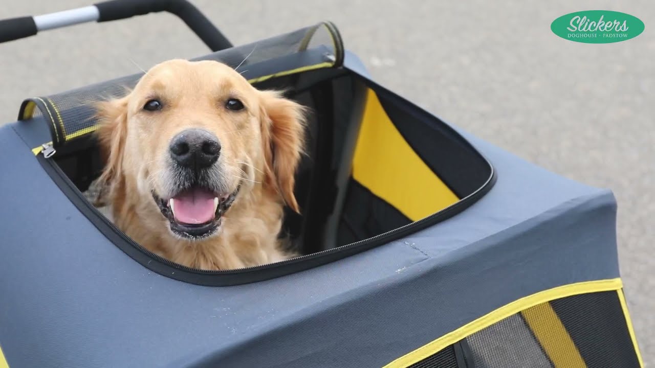 Strollers can truly transform fur babies lives!