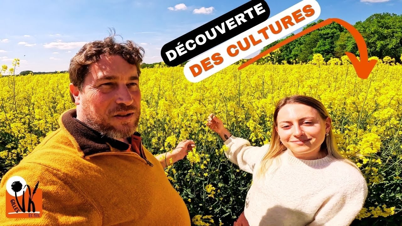 Colza, Blé, Maïs, Oignon... Erin découvre toutes les cultures de ma ferme.