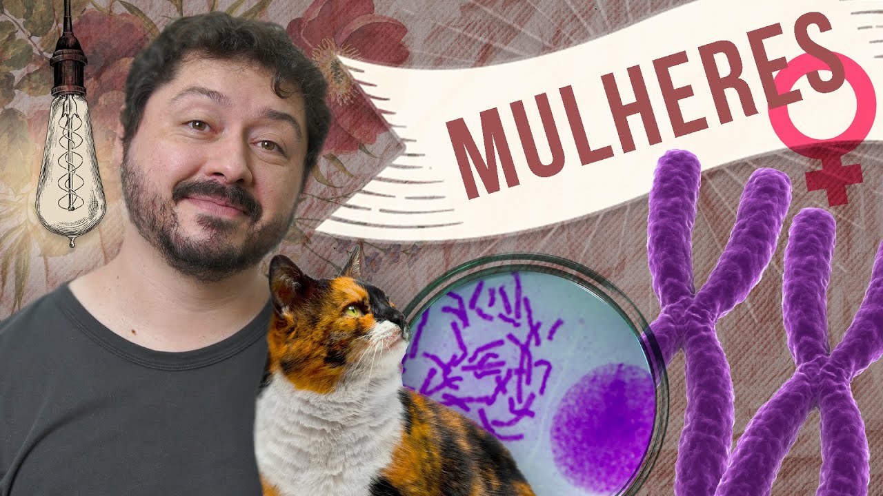 Por que as mulheres são especiais como os gatos