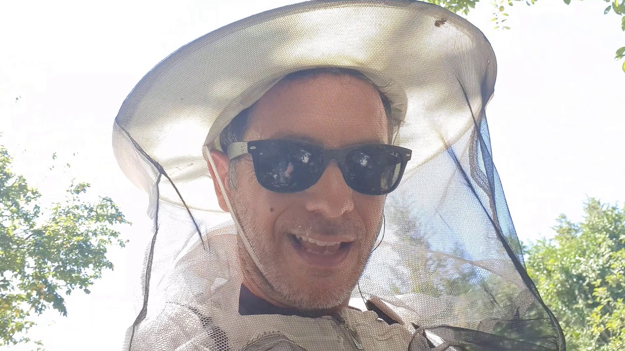 Στα μελίσσια λίγο πριν κόψει η καστανιά στο Πήλιο.Ιούλιος 2020