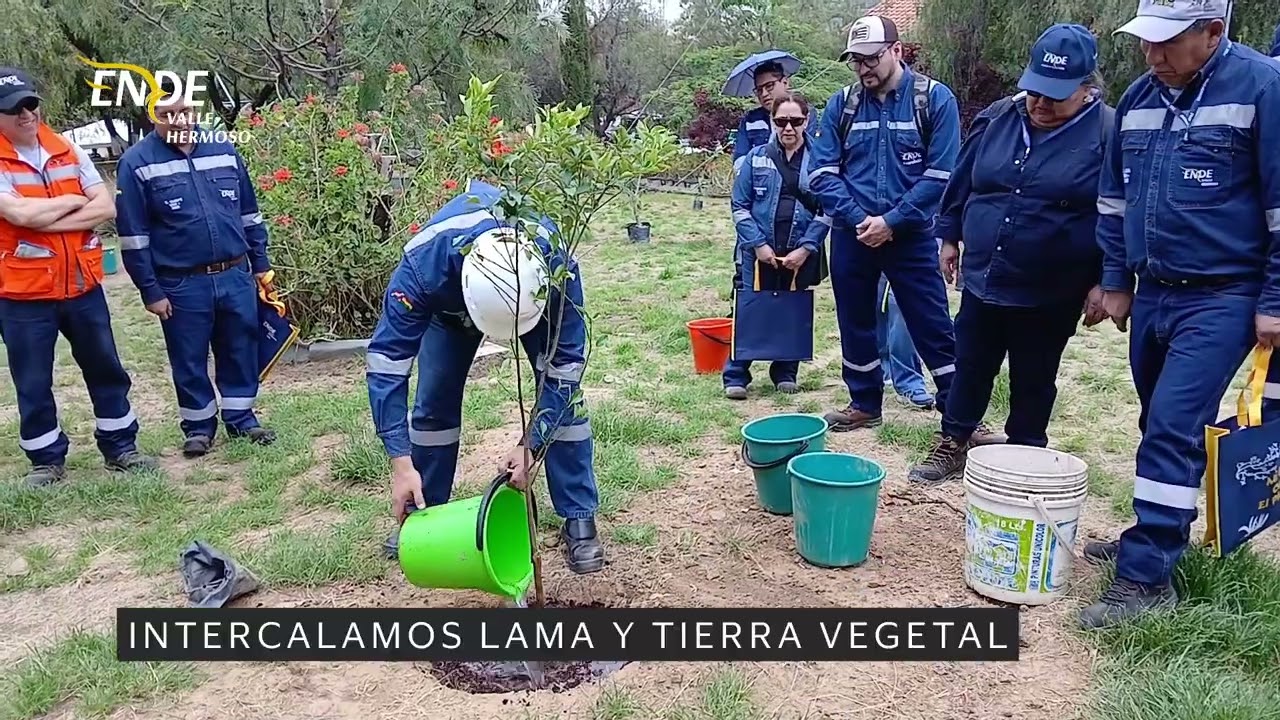 Reforestación de especies nativas frutales y ornamentales en Termoeléctrica Valle Hermoso