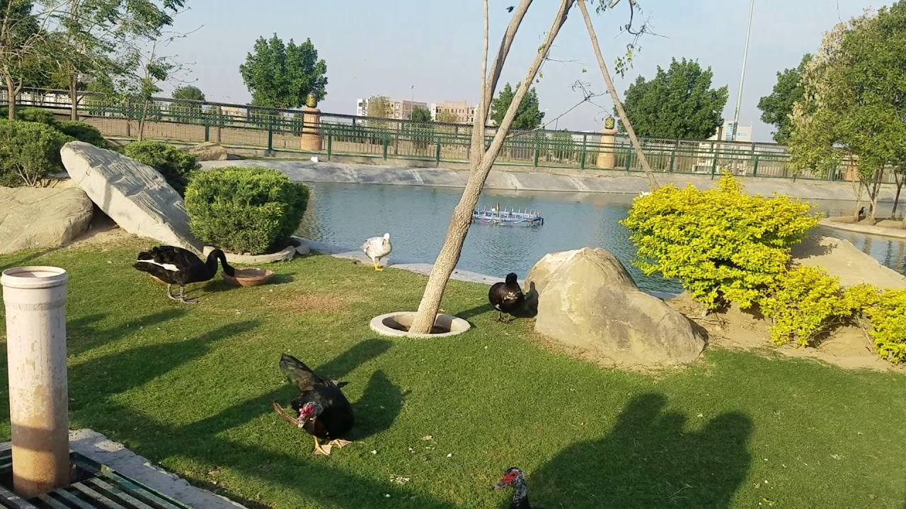 Citi Land Theme Park Jehlum