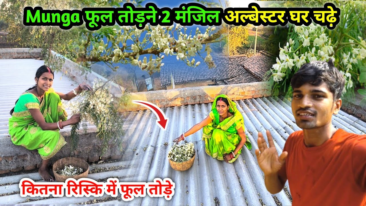 Munga फूल तोड़ने 2 मंजिल अल्बेस्टर घर चढ़े | कितना रिस्कि में फूल तोड़े | Munga Phool Sabji