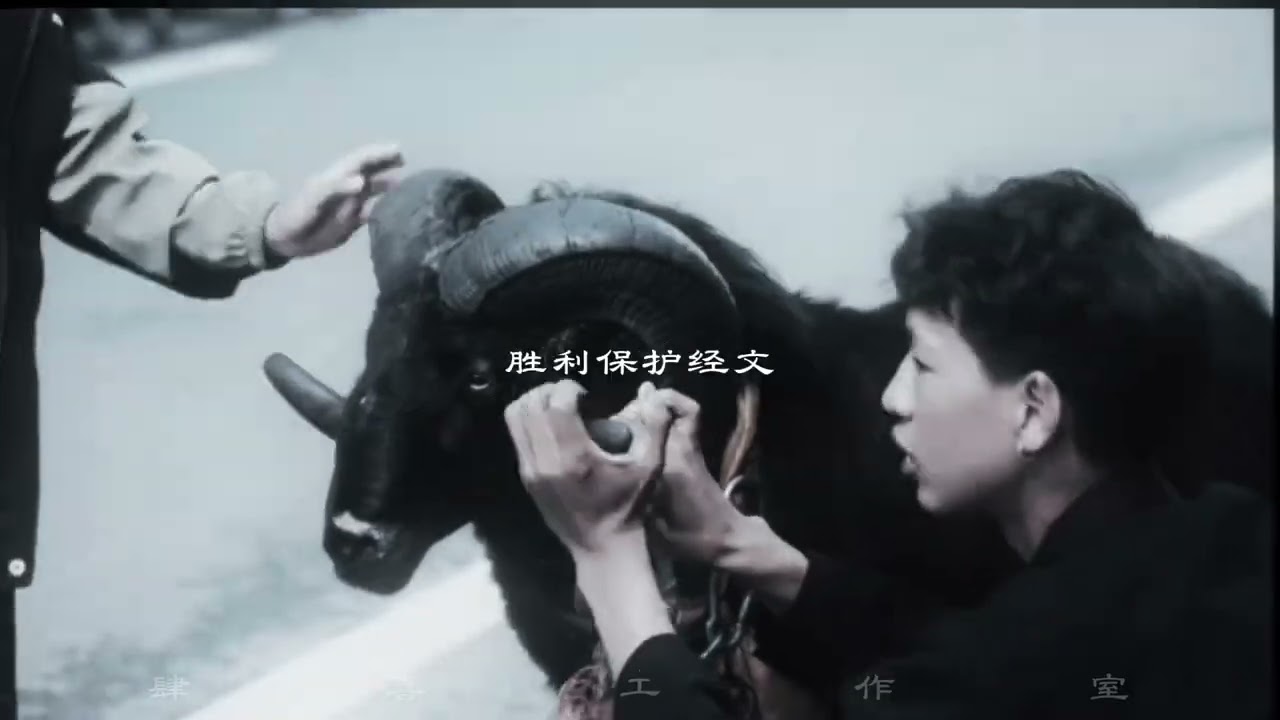 不问生路 - 肆喜