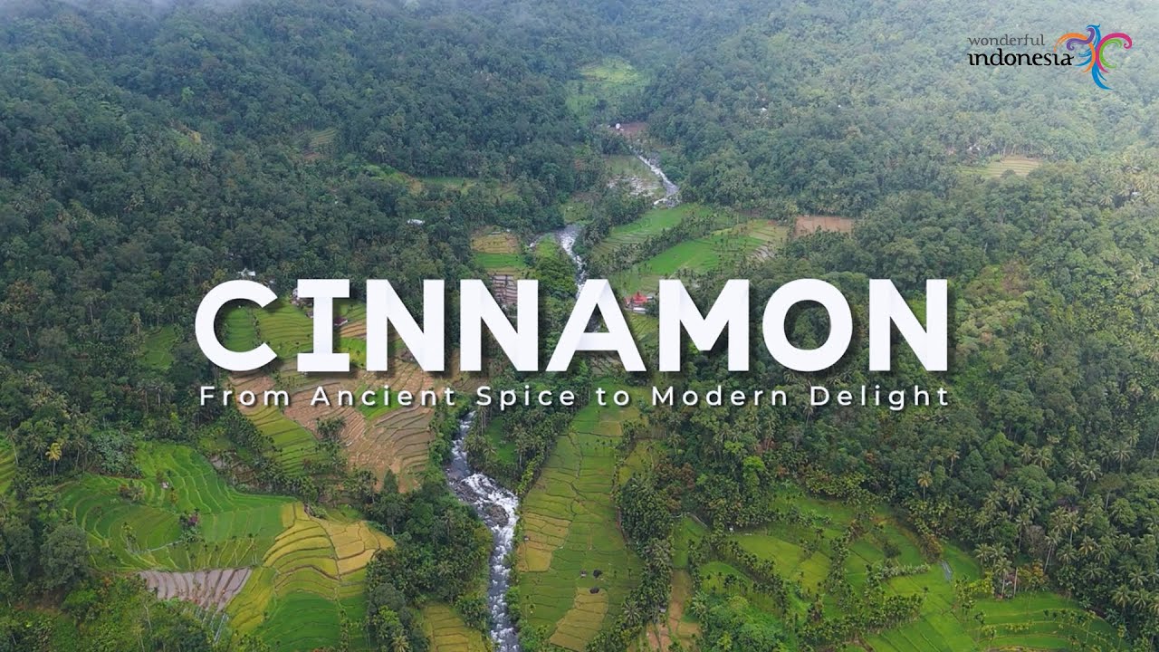 Indonesia Spice Up The World | Cinnamon: Indonesia’s Fragrant Gift to the World