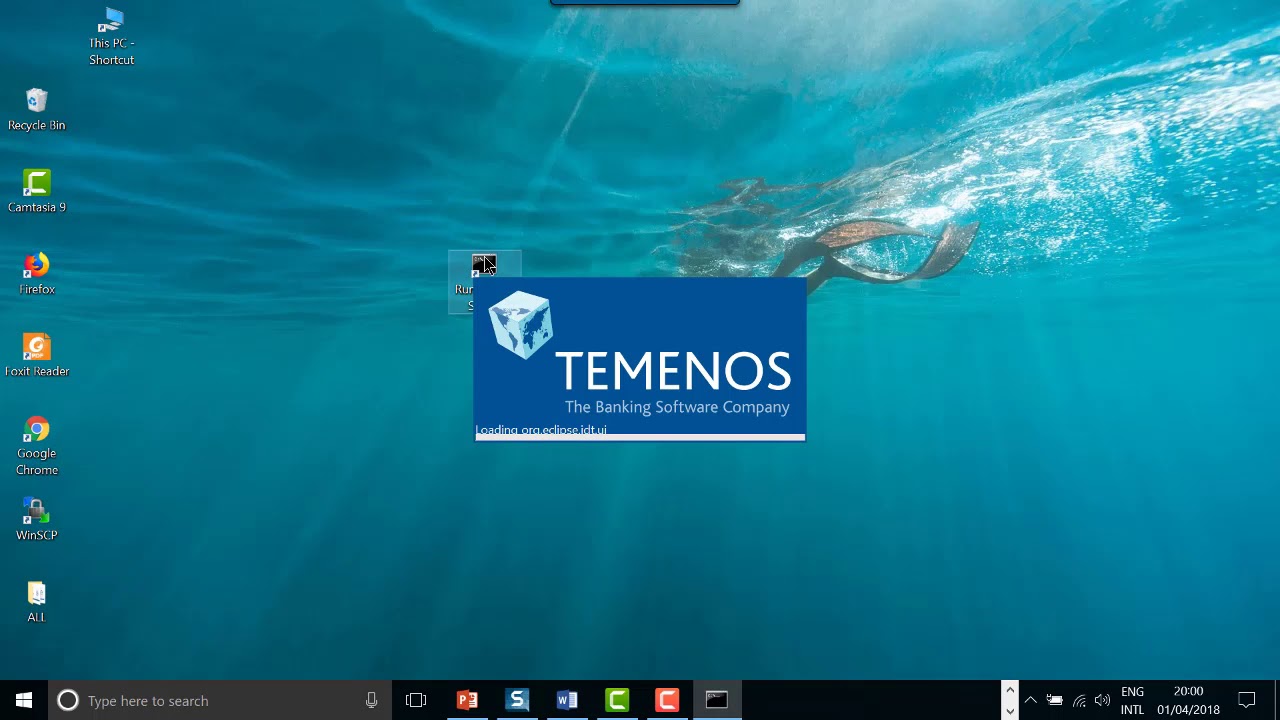 KM Project - Introduction to Temenos Design Studio 1