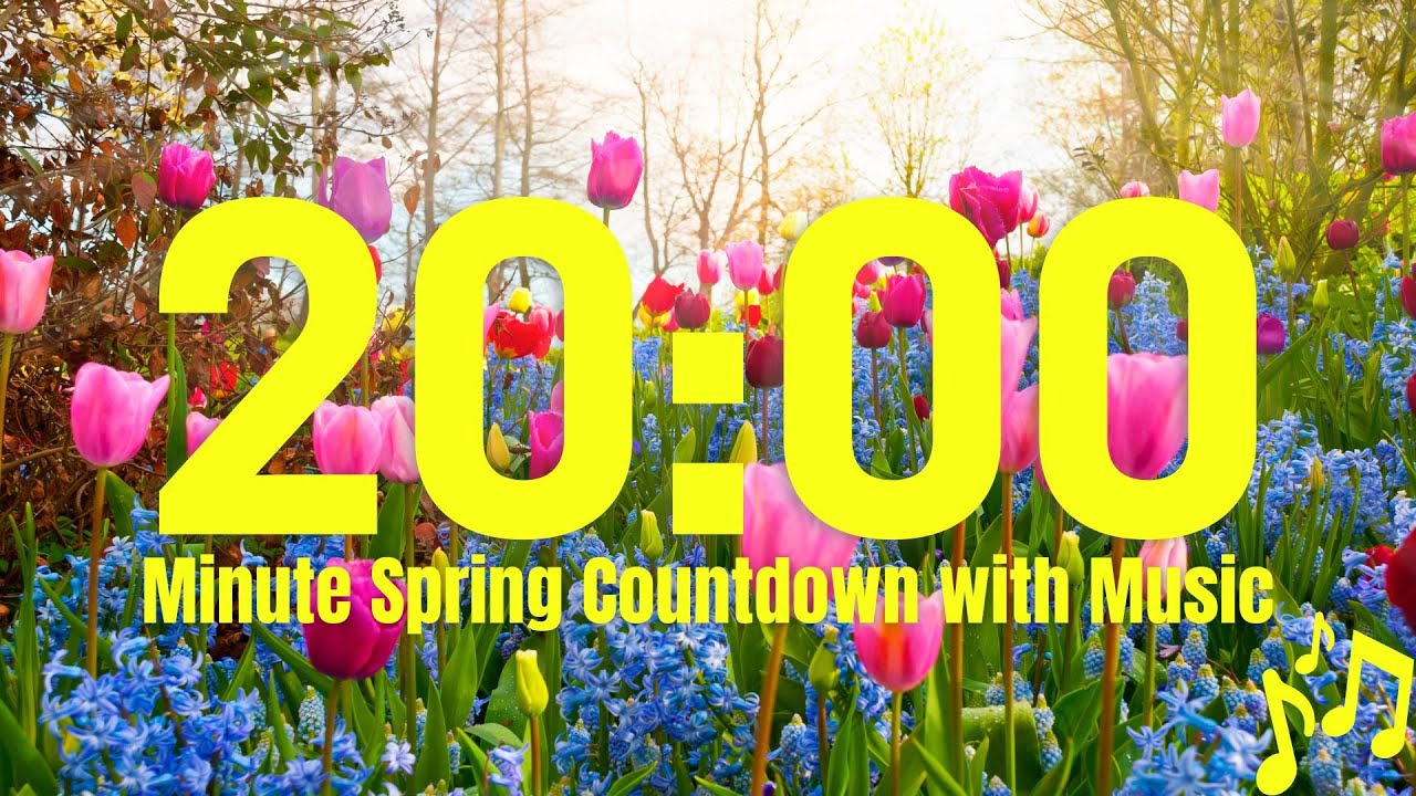 🌸 20-Minute Spring Countdown Timer | 20 minute timer with music for classroom with Relaxing Music 🌿🎶