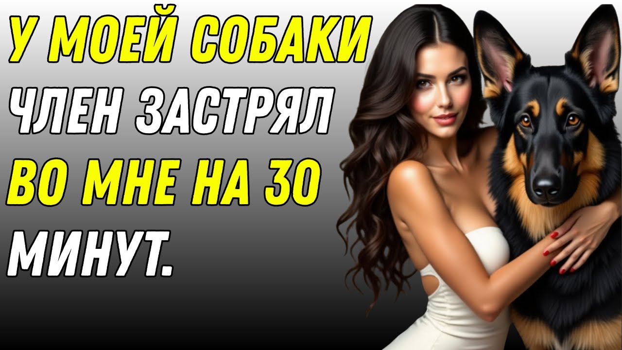 ⚠️ Моя собака делает это для меня каждый раз, когда мой муж уезжает в командировку.