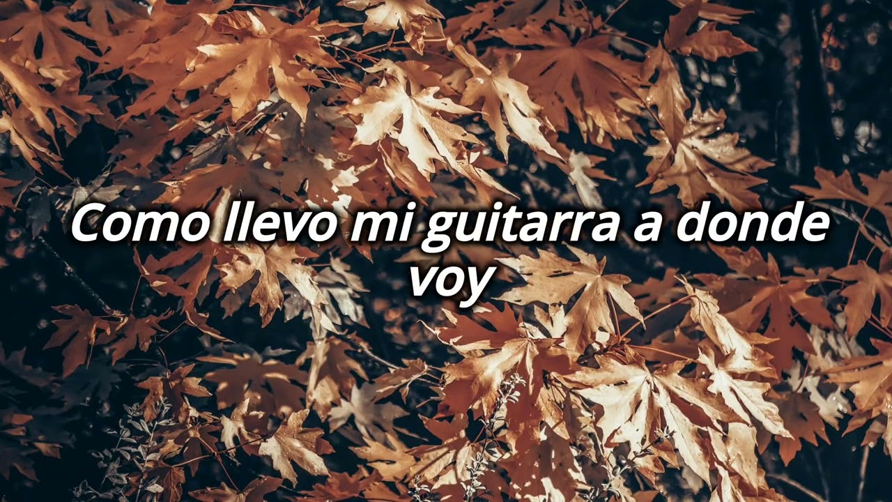 Mis Hojas De Noviembre