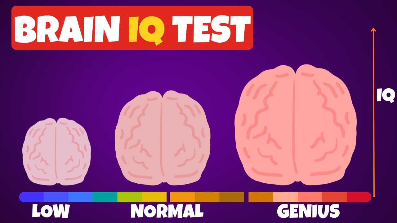 Only 7% Can Solve This IQ Test | Are You One of Them? | Meowuiz